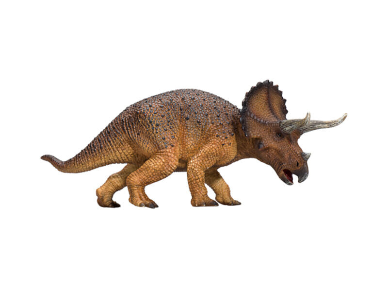 Mojo Triceratops velký